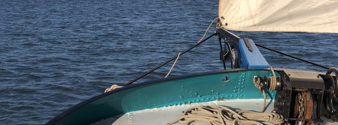 Spiegel der Zeilvaart 01/2021